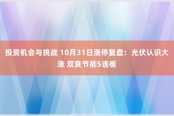 投资机会与挑战 10月31日涨停复盘：光伏认识大涨 双良节能5连板