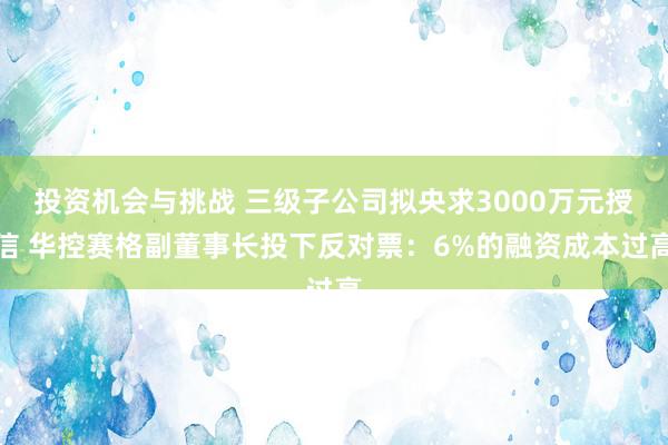 投资机会与挑战 三级子公司拟央求3000万元授信 华控赛格副董事长投下反对票：6%的融资成本过高