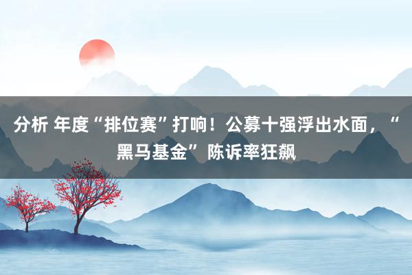 分析 年度“排位赛”打响！公募十强浮出水面，“黑马基金” 陈诉率狂飙