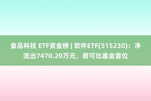 食品科技 ETF资金榜 | 软件ETF(515230)：净流出7470.20万元，居可比基金首位