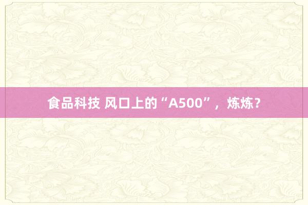 食品科技 风口上的“A500”，炼炼？