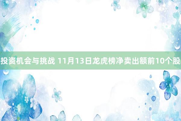 投资机会与挑战 11月13日龙虎榜净卖出额前10个股