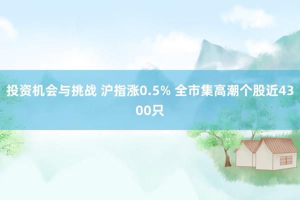 投资机会与挑战 沪指涨0.5% 全市集高潮个股近4300只