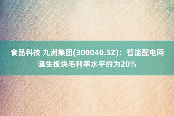 食品科技 九洲集团(300040.SZ)：智能配电网诞生板块毛利率水平约为20%