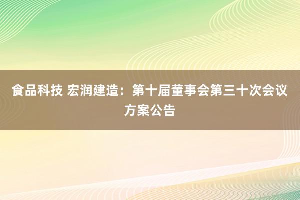 食品科技 宏润建造：第十届董事会第三十次会议方案公告