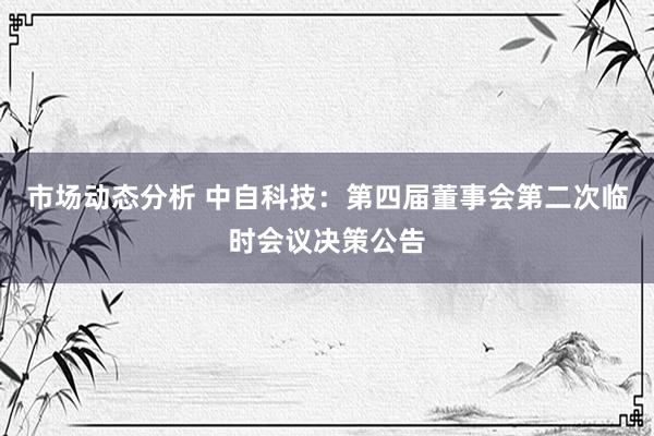 市场动态分析 中自科技：第四届董事会第二次临时会议决策公告