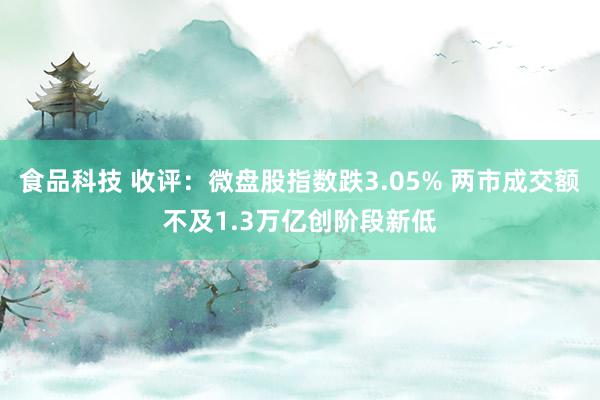 食品科技 收评：微盘股指数跌3.05% 两市成交额不及1.3万亿创阶段新低