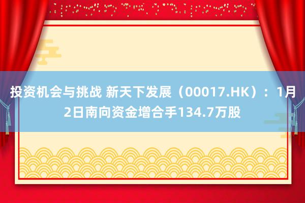 投资机会与挑战 新天下发展（00017.HK）：1月2日南向资金增合手134.7万股