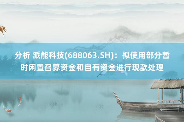 分析 派能科技(688063.SH)：拟使用部分暂时闲置召募资金和自有资金进行现款处理