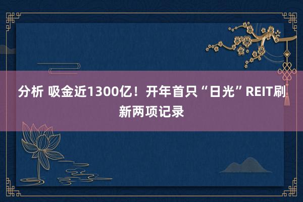 分析 吸金近1300亿！开年首只“日光”REIT刷新两项记录