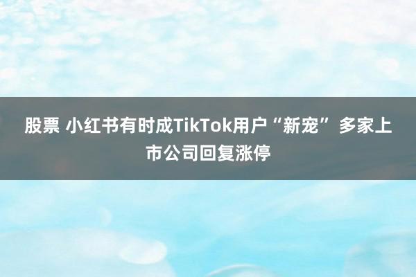 股票 小红书有时成TikTok用户“新宠” 多家上市公司回复涨停