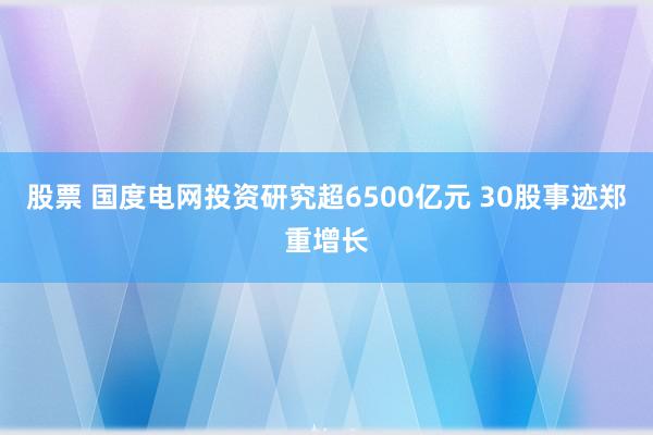 股票 国度电网投资研究超6500亿元 30股事迹郑重增长