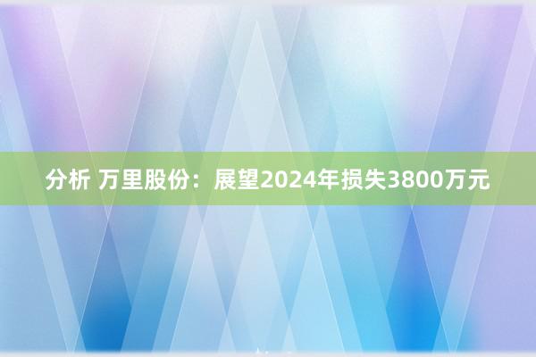 分析 万里股份：展望2024年损失3800万元