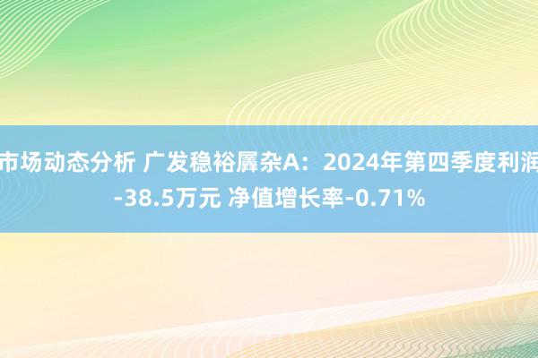 市场动态分析 广发稳裕羼杂A：2024年第四季度利润-38.5万元 净值增长率-0.71%