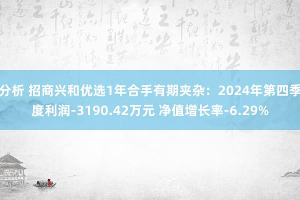 分析 招商兴和优选1年合手有期夹杂：2024年第四季度利润-3190.42万元 净值增长率-6.29%