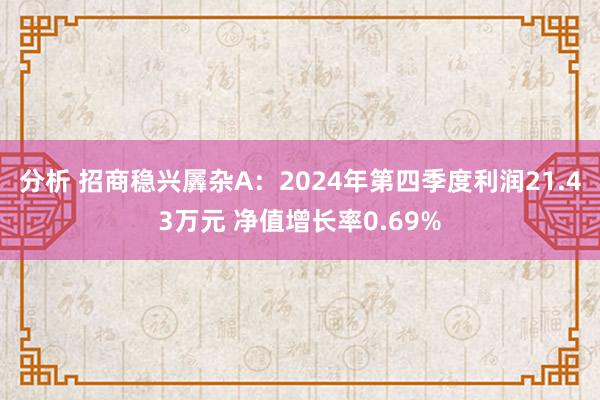 分析 招商稳兴羼杂A：2024年第四季度利润21.43万元 净值增长率0.69%