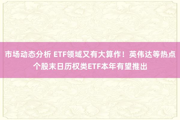 市场动态分析 ETF领域又有大算作！英伟达等热点个股末日历权类ETF本年有望推出