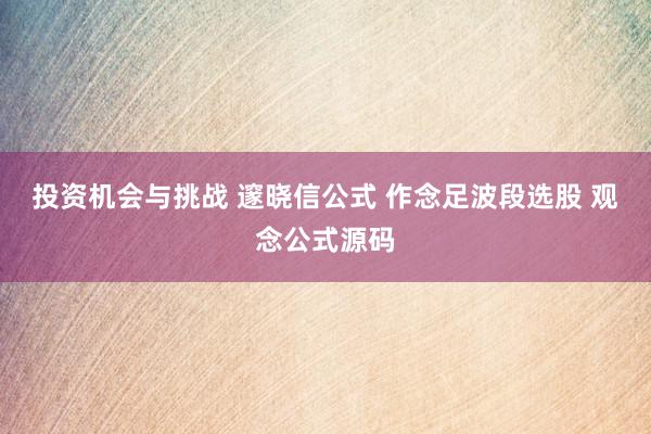 投资机会与挑战 邃晓信公式 作念足波段选股 观念公式源码