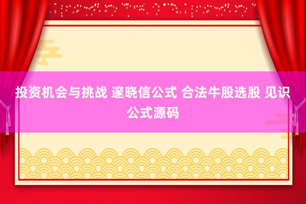 投资机会与挑战 邃晓信公式 合法牛股选股 见识公式源码