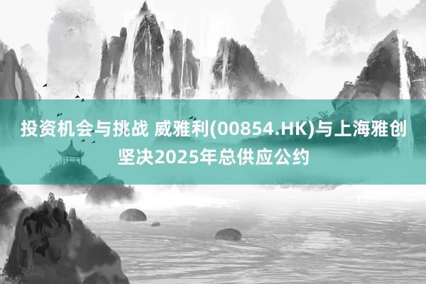 投资机会与挑战 威雅利(00854.HK)与上海雅创坚决2025年总供应公约