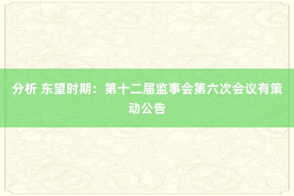 分析 东望时期：第十二届监事会第六次会议有策动公告