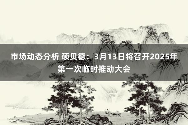 市场动态分析 硕贝德：3月13日将召开2025年第一次临时推动大会