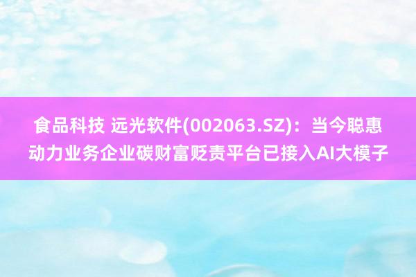 食品科技 远光软件(002063.SZ)：当今聪惠动力业务企业碳财富贬责平台已接入AI大模子