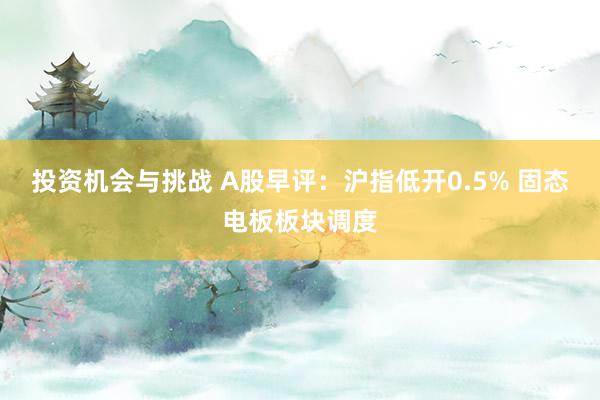 投资机会与挑战 A股早评：沪指低开0.5% 固态电板板块调度