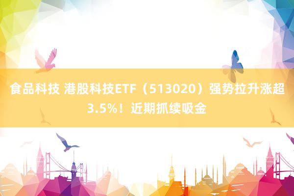 食品科技 港股科技ETF（513020）强势拉升涨超3.5%！近期抓续吸金